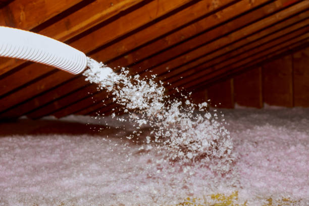 Best Attic Insulation Installation  in Fritch, TX