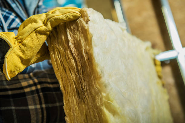 Best Spray Foam Insulation  in Fritch, TX