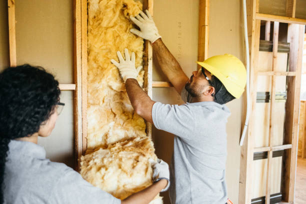 Best Wall Insulation Contractor  in Fritch, TX