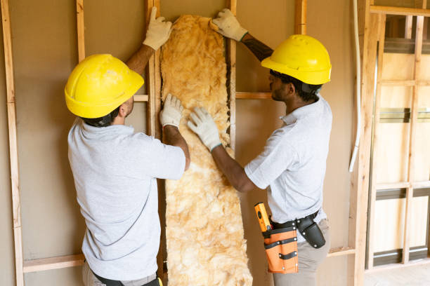 Best Fiberglass Insulation  in Fritch, TX