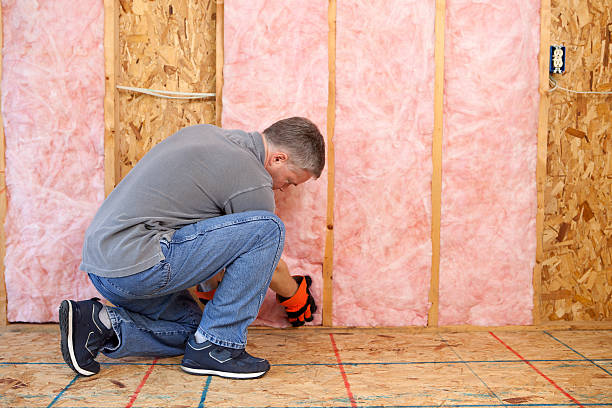 Best Insulation Contractors for Homes  in Fritch, TX