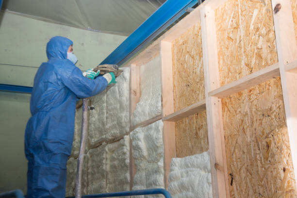 Best Insulation Contractor Near Me  in Fritch, TX