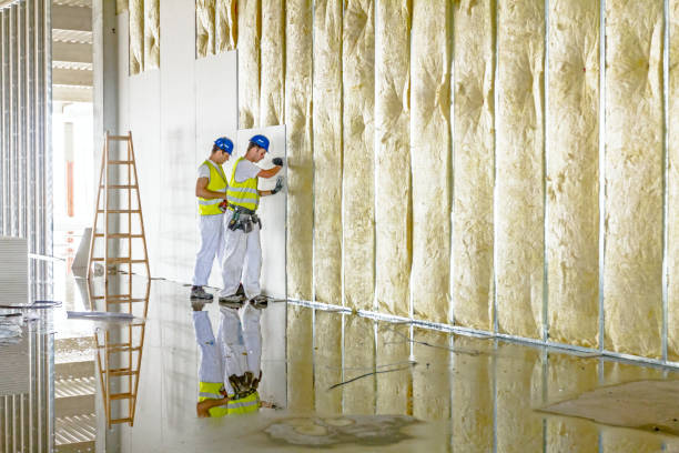 Best Energy-efficient Insulation  in Fritch, TX